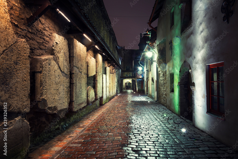 Katariina kaik (St. Catherine's Passage) - half-hidden walkway in old town of Tallinn, Estonia