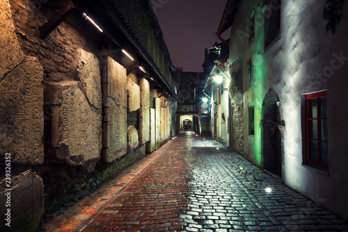 Katariina kaik (St. Catherine's Passage) - half-hidden walkway in old town of Tallinn, Estonia © Shchipkova Elena