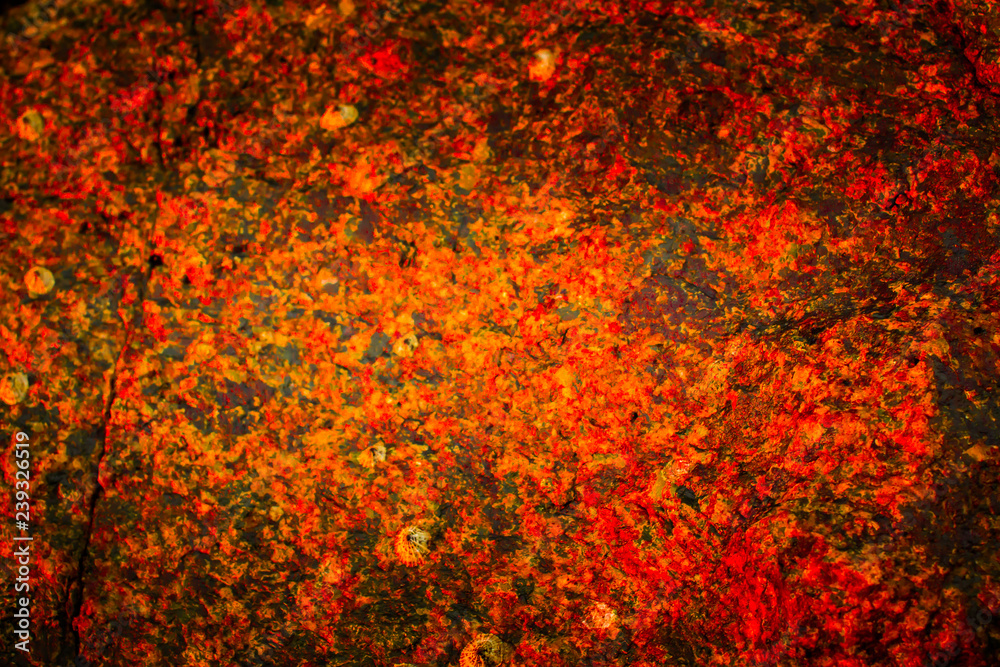 Scary stone concept background from phuket Thailand Scary stone concept background from phuket Thailand