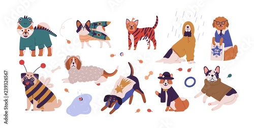 Collection of cute dogs of different breeds wearing funny costumes. Set of amusing cartoon domestic animals dressed in various clothing isolated on white background. Vector illustration in flat style.