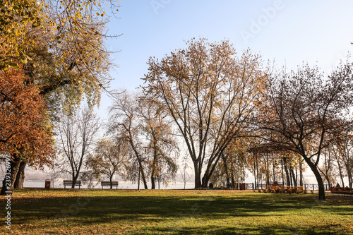View of autumn park © Pixel-Shot