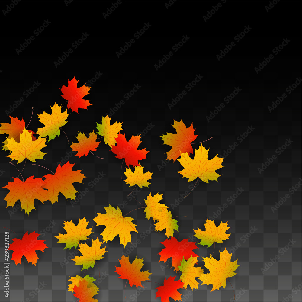 September Vector Background with Golden Falling Leaves. Autumn Illustration with Maple Red, Orange, Yellow Foliage. Isolated Leaf on Transparent Background. Bright Swirl. Suitable for Posters.