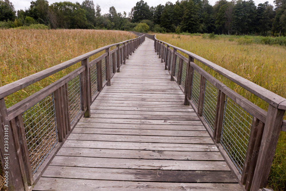 Holzbrücke durch ein Sumpfgebiet in der Nähe von Lidköping in Schweden.