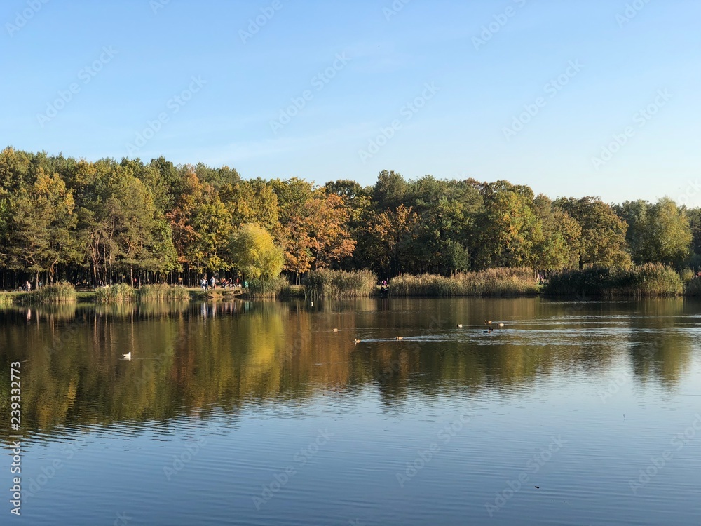 Парк Партизанской Славы ❤️