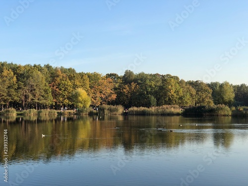 Wallpaper Mural Парк Партизанской Славы ❤️ Torontodigital.ca