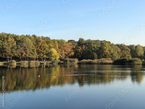 Парк Партизанской Славы ❤️
