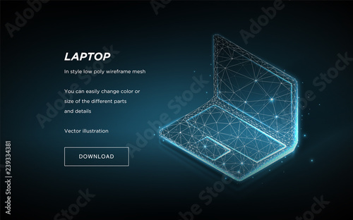 Laptop low poly wireframe on dark background.Laptop hi-tech illustration.Concept  internet, digital, devices, computer.Symbol future or innovation.Plexus lines and points in the constellation.Vector