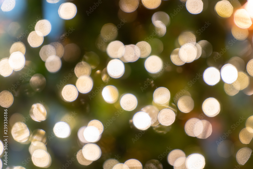 Bokeh for christmas time.
