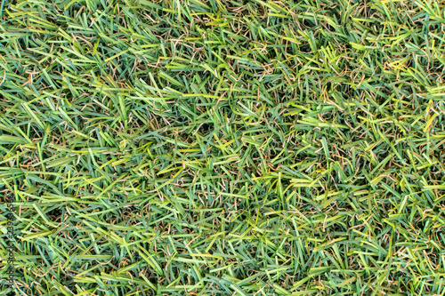 Artificial grass texture background