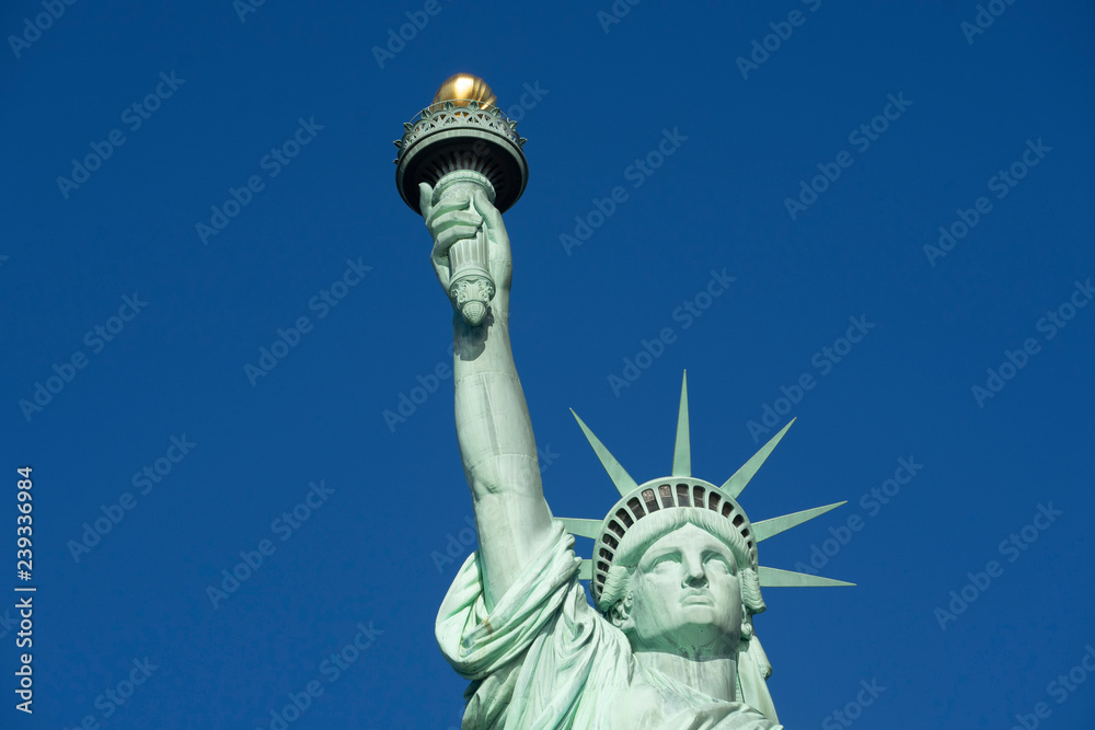 Fototapeta premium Top half crop of statue of liberty