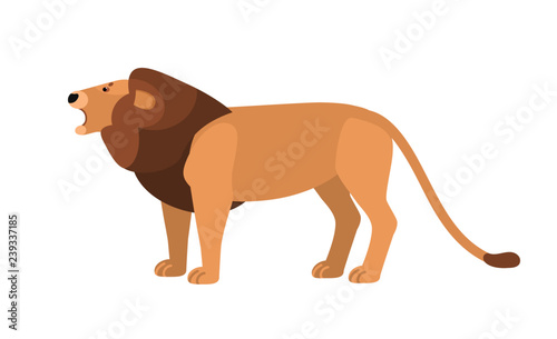 Roaring lion isolated on white background