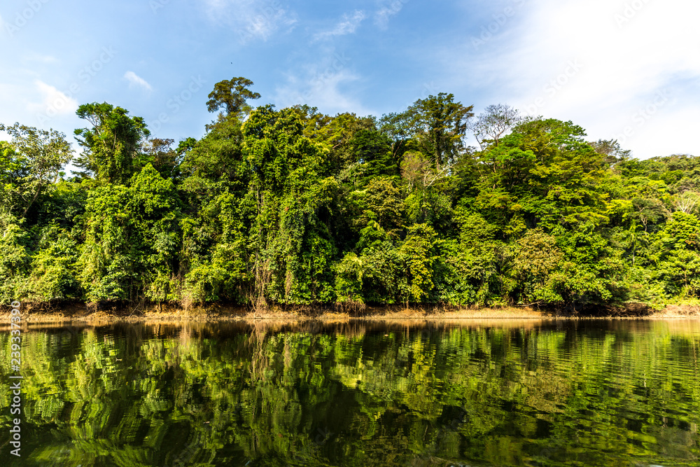 Fototapeta premium Amazing river reflection in Panama