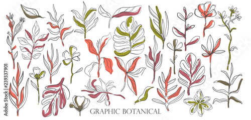 Hand drawn set sketch style Wild flowers . Line nature style,Drawing flora,hand drawn botany.