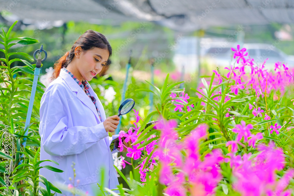 Women's Orchid Researchers are exploring and documenting the characteristics of orchids in the garden. Women's Orchid Researchers are exploring and documenting the characteristics of orchids in the garden.
