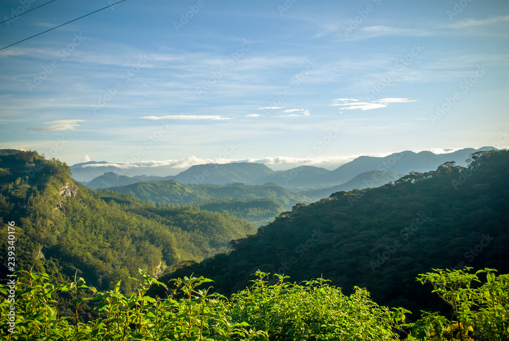 Obraz premium Adam's Peak 