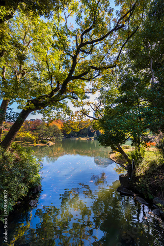 秋の六義園 大名庭園の風景