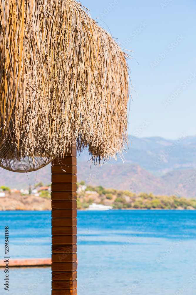 A canopy of palm leaves and a view on blue sea, mountains and beach