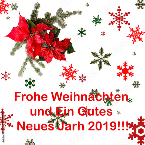 Poinsettia red flower with fir tree and snow on white background. Greetings Christmas card. Postcard. Christmastime. Red White and green."Frohe Weihnachten und ein gutes neues jahr 2019"