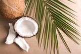 Ripe coconuts and palm leaf on color background