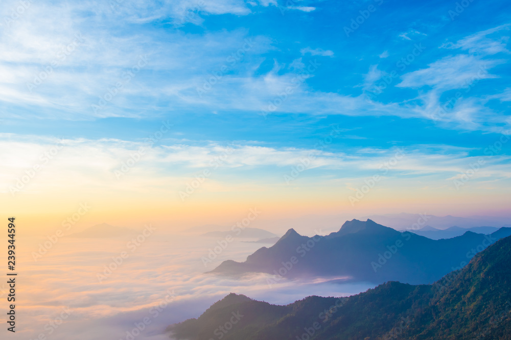 Foggy on the mountain at sunset. Foggy on the mountain at sunset.