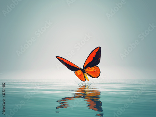A red butterfly on sea.