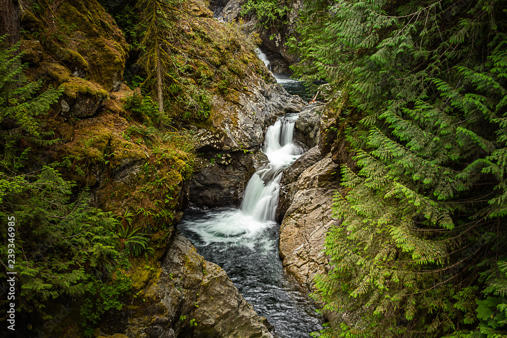 peacefull long exposer of twin tails waterfall in forest peacefull long exposer of twin tails waterfall in forest