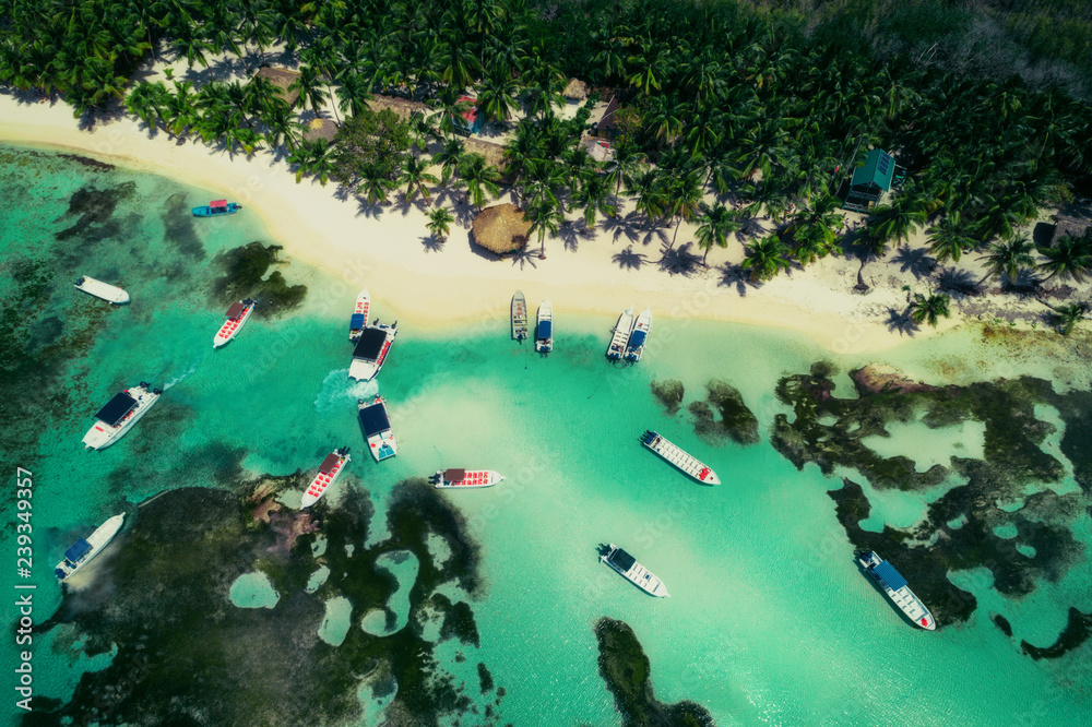 Aerial view of tropical beach, Dominican Republic