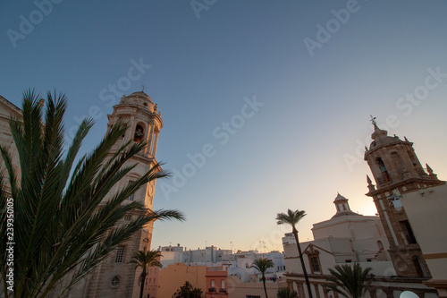 Cádiz (Andalucia, Spain). Tower and palm.