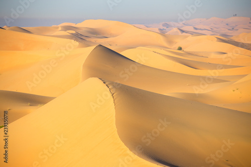 United Arab Emirates, Abu Dhabi, Al Ain, Remah Desert photo