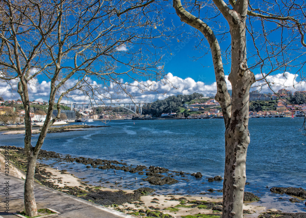 Scenic Douro River, Porto, Portugal