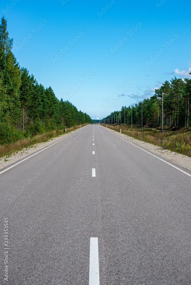 summer asphalt road in perspective summer asphalt road in perspective