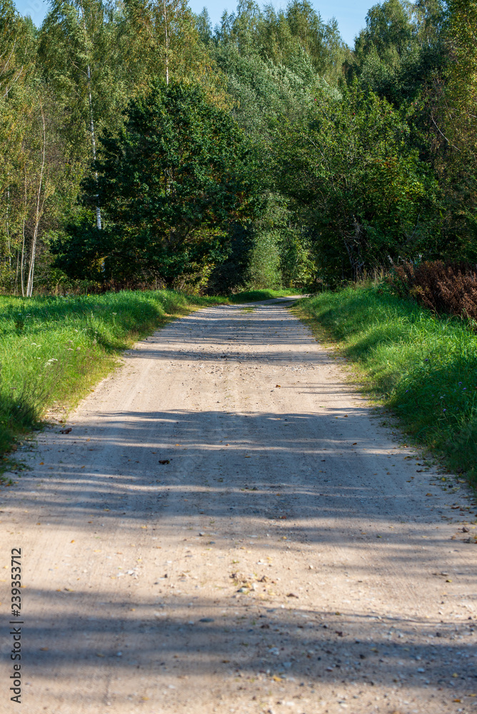 Obraz premium summer asphalt road in perspective