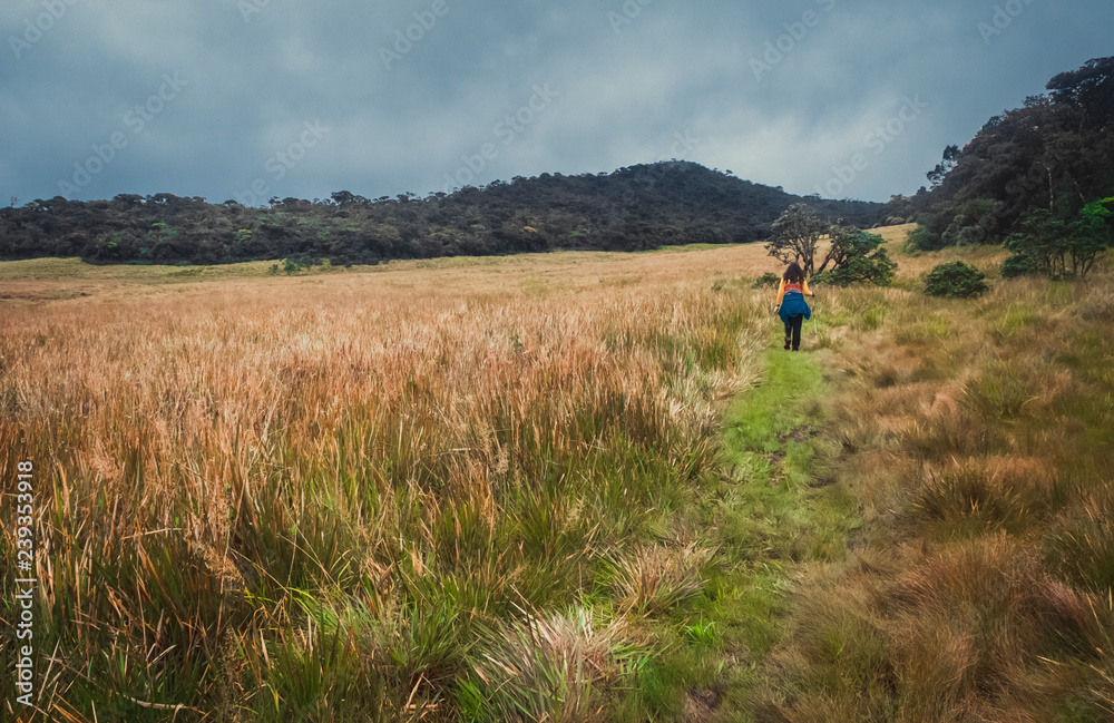 Horton Plains National Park Horton Plains National Park