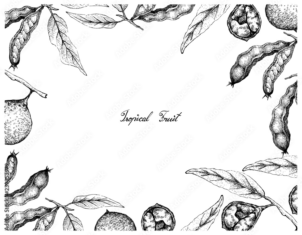 Tropical Fruits, Illustration Frame of Hand Drawn Sketch Ice Cream ...