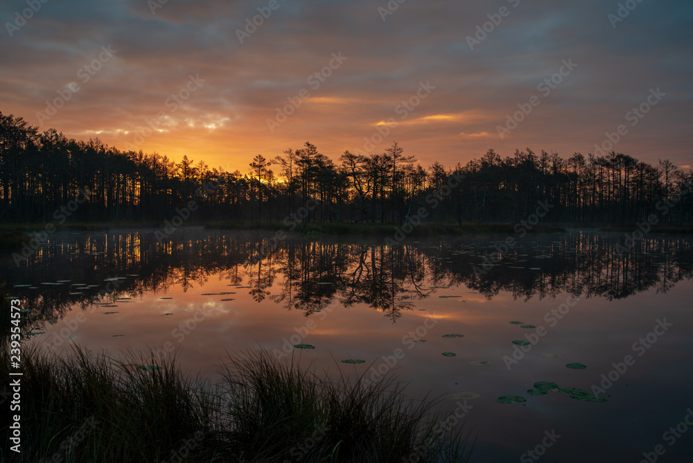 Fototapeta premium misty morning near swamp lakes