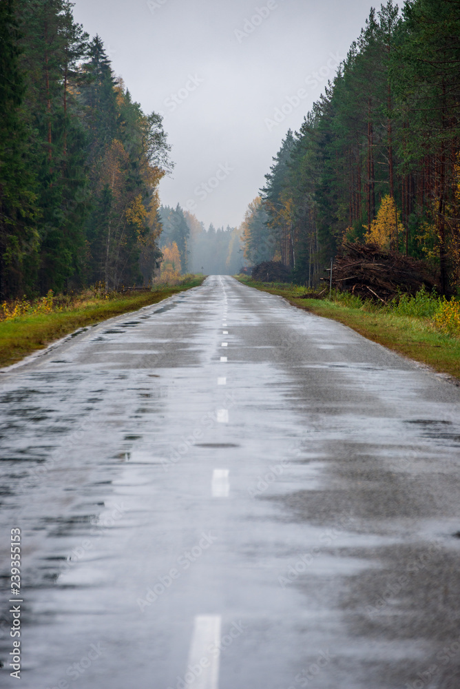 Obraz premium summer asphalt road in perspective