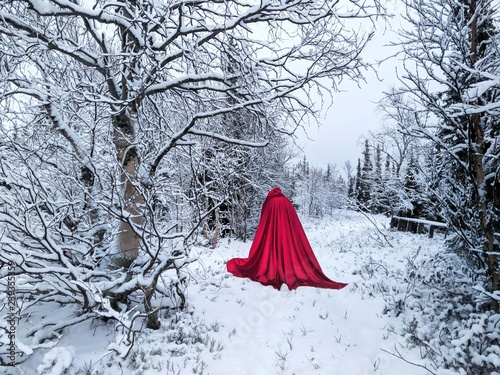 Woman in red dress in winter walking in forest.