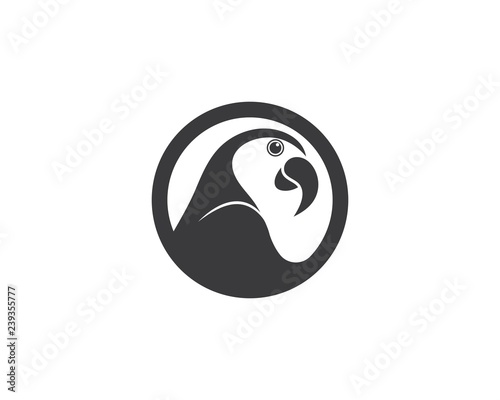 parrot illustration template design