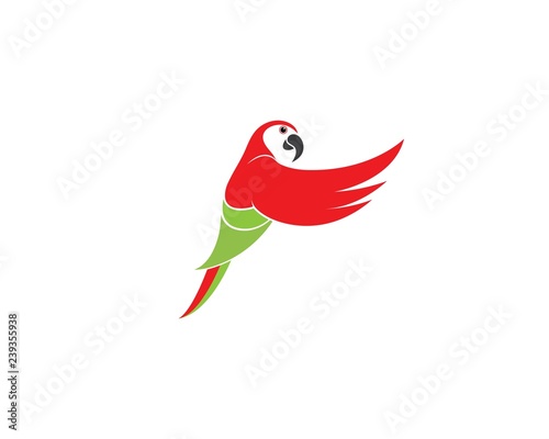 parrot illustration template design