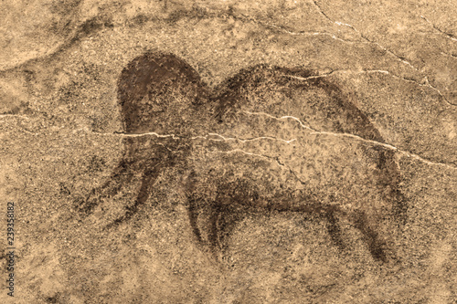 the image of an ancient mammoth on the cave wall. history of antiquities. era.