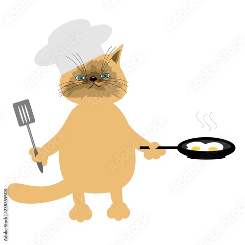 nice cat cooking eggs on white background