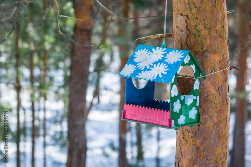Russian feeding trough for feeding of birds and squirrels hangs on pine tree in spring morning.