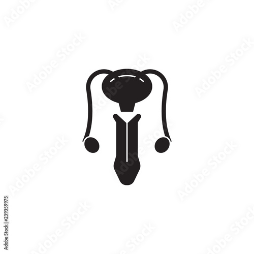 Male reproductive system black vector concept icon. Male reproductive system flat illustration, sign, symbol