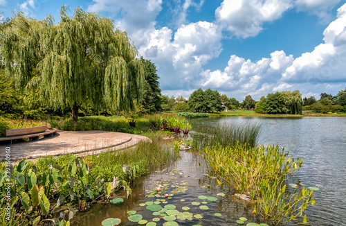 Summer landscape of Chicago Botanic Garden, Glencoe, Illinois, USA
