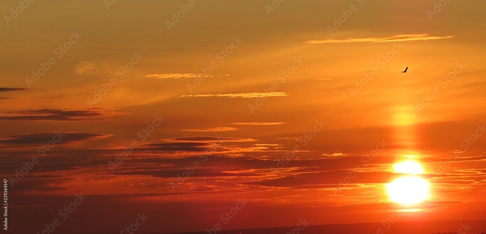Beautiful fiery orange sunset in the sky, natural sunset background