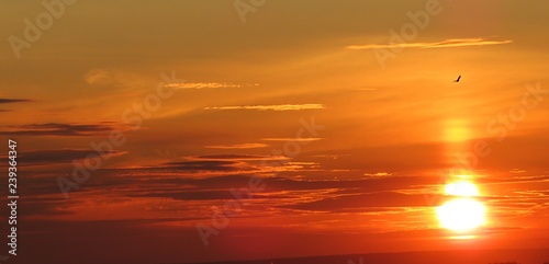 Beautiful fiery orange sunset in the sky, natural sunset background