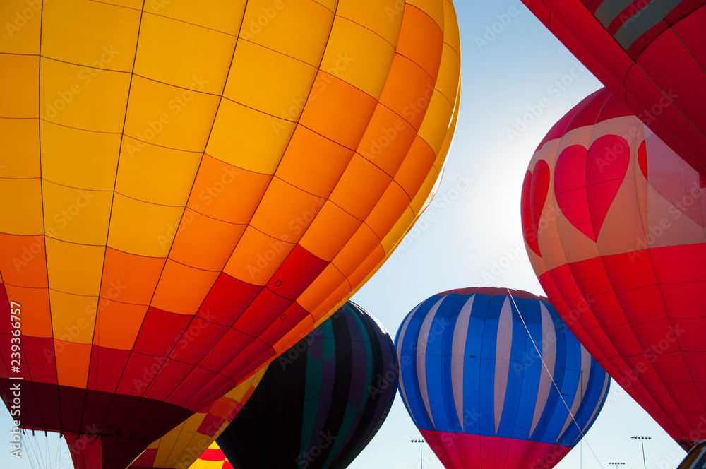 Obraz premium Group or Cluster of Hot Air Balloons, Colorado Labor Day Liftoff