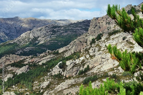 view by the inland Corsica