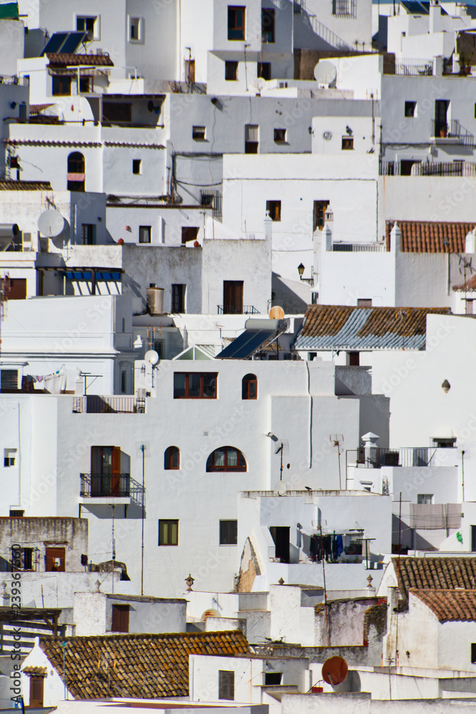 Panoramic view with houses of Vejer de la Frontera, a beautiful and touristic Andalusian village in the province of Cadiz, southern Spain
