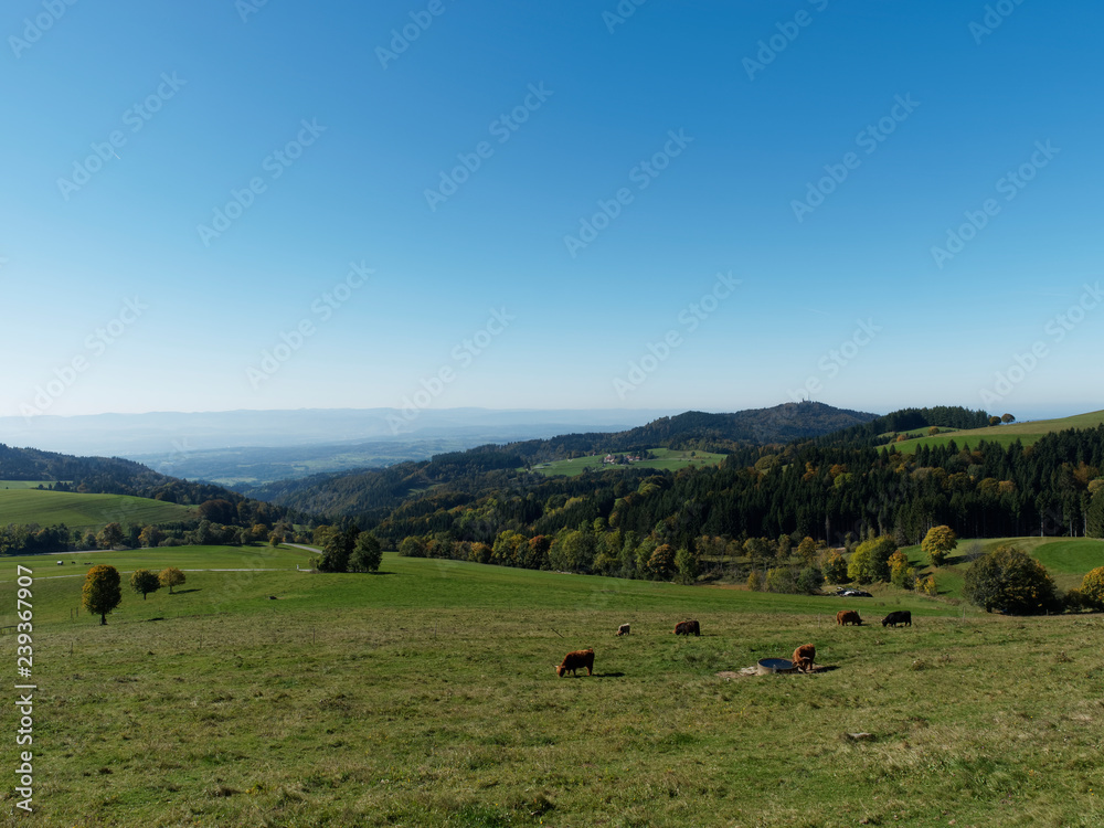 Gersbach bei klarem Wetter sind die Wiesental zu sehen Gersbach bei klarem Wetter sind die Wiesental zu sehen